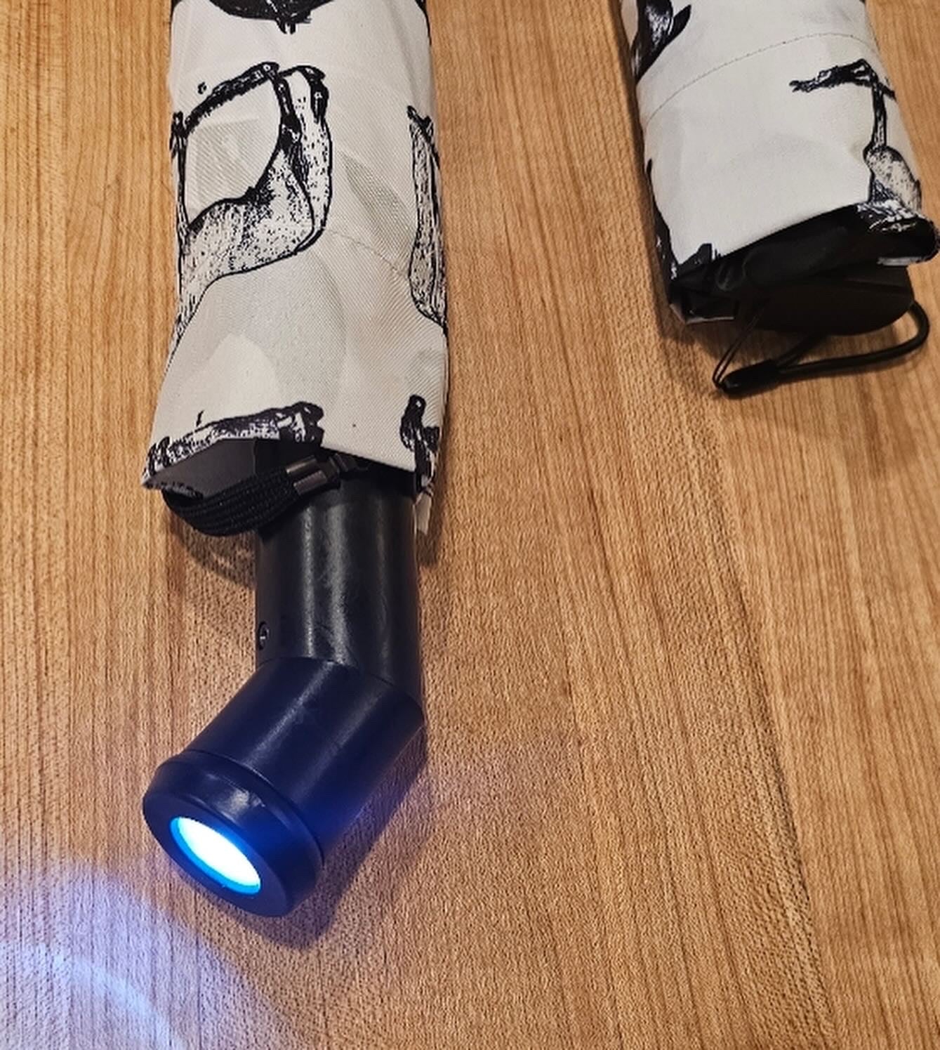 Dalia MacPhee Umbrella