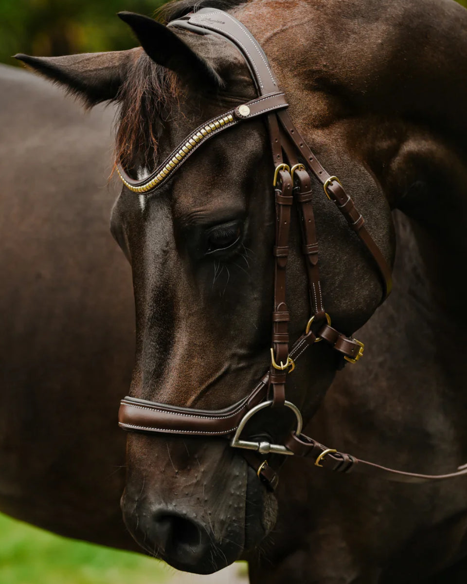 Lumiere Bridle -Dallas