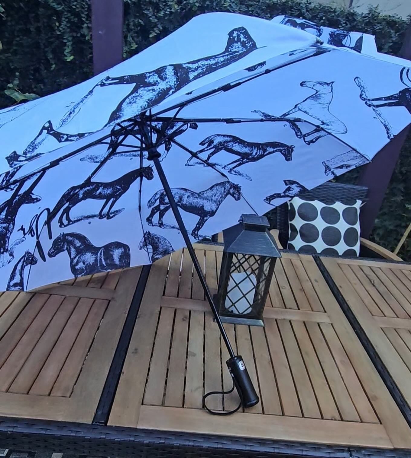 Dalia MacPhee Umbrella