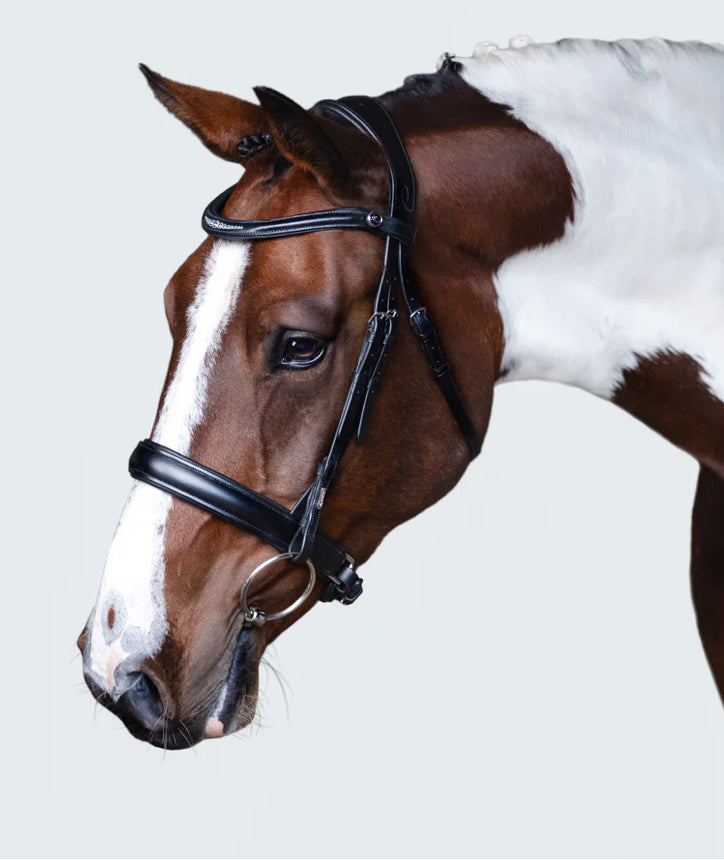 Lumiere Bridle - Stella
