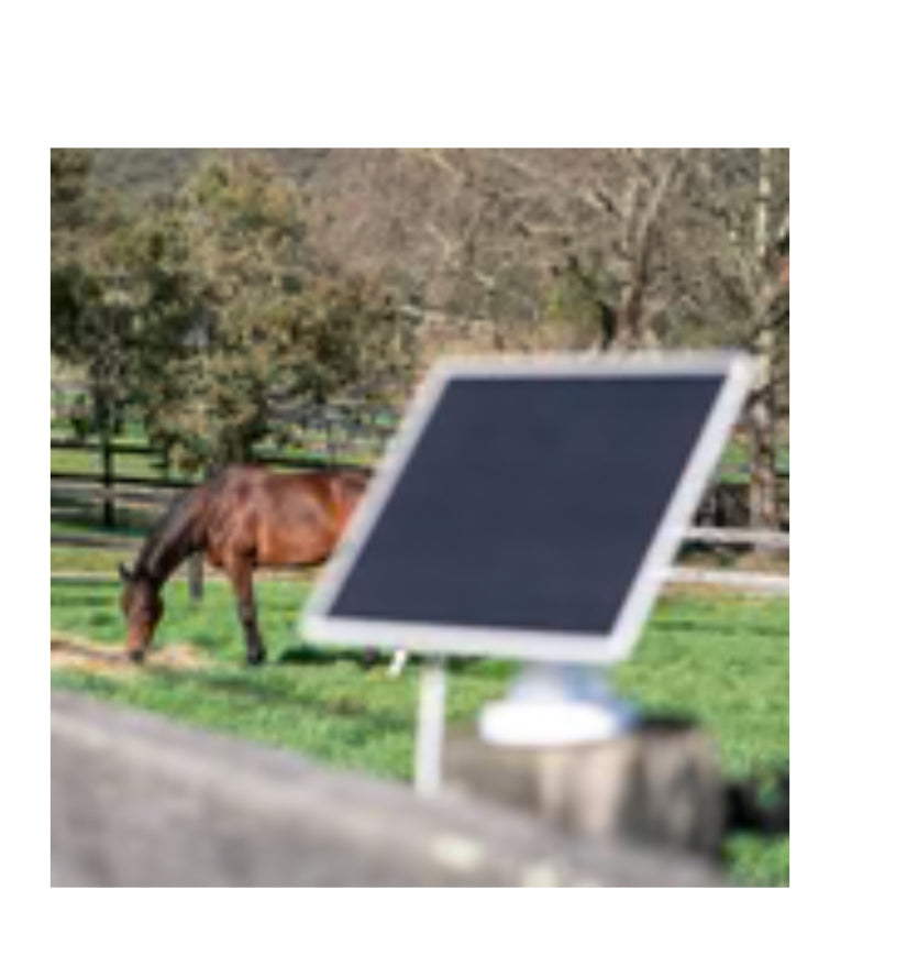 Equine Eye Vision - 4g Camera