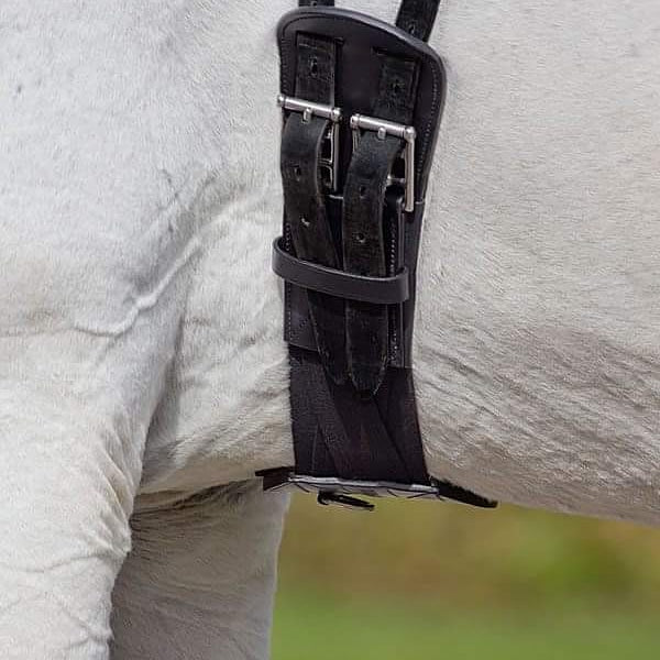 TCG Dressage Comfort Girth