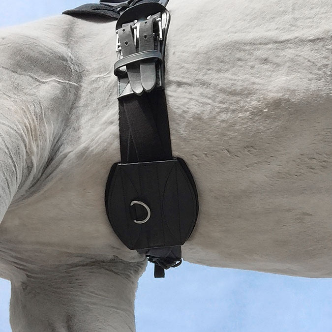 TCG Dressage Comfort Girth