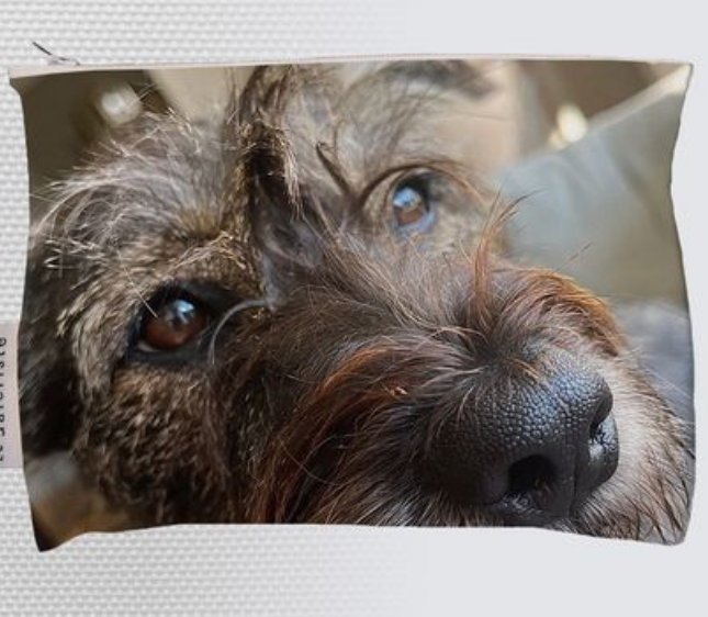 Barkington Pouch/Baggie