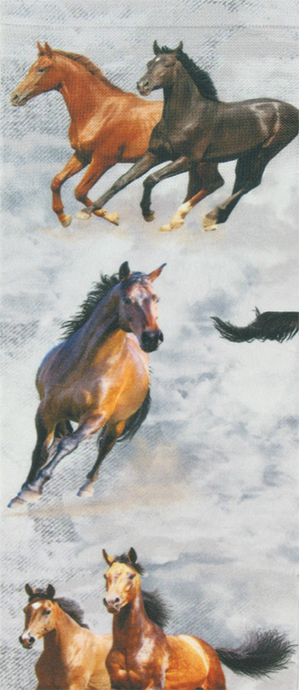 On the Range Knee Highs (NEW)