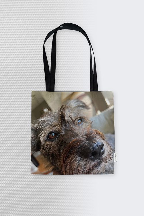 Barkington’s Bag