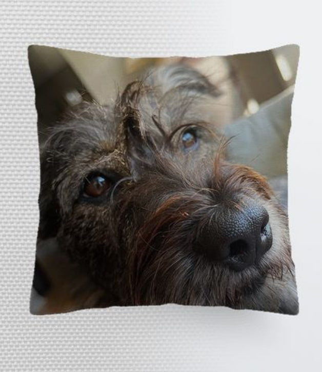 Barkington's Pillow