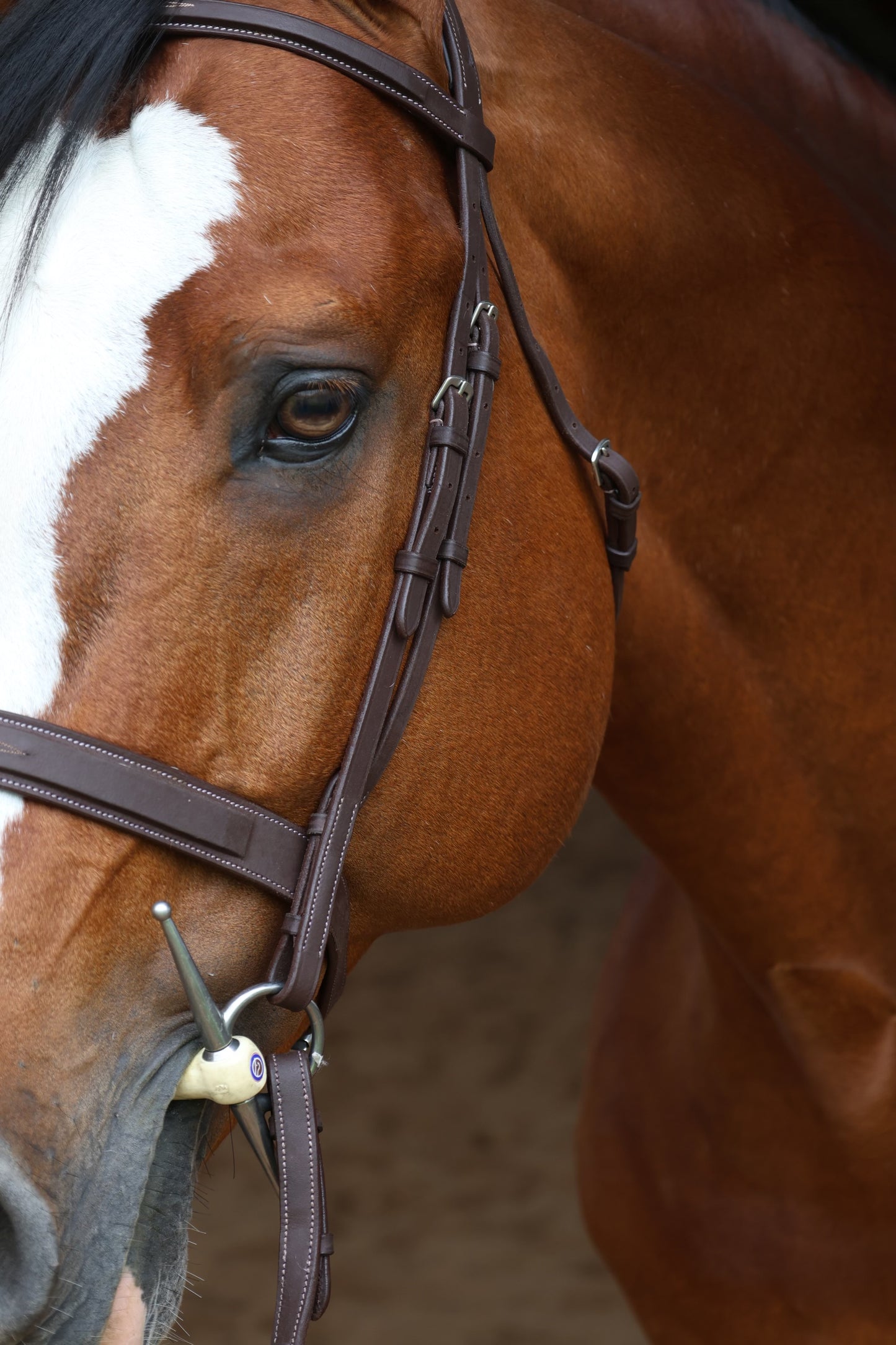BH - Hunter Bridles