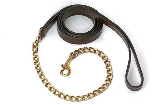 Leather Lead Shank with Brass Stud Chain