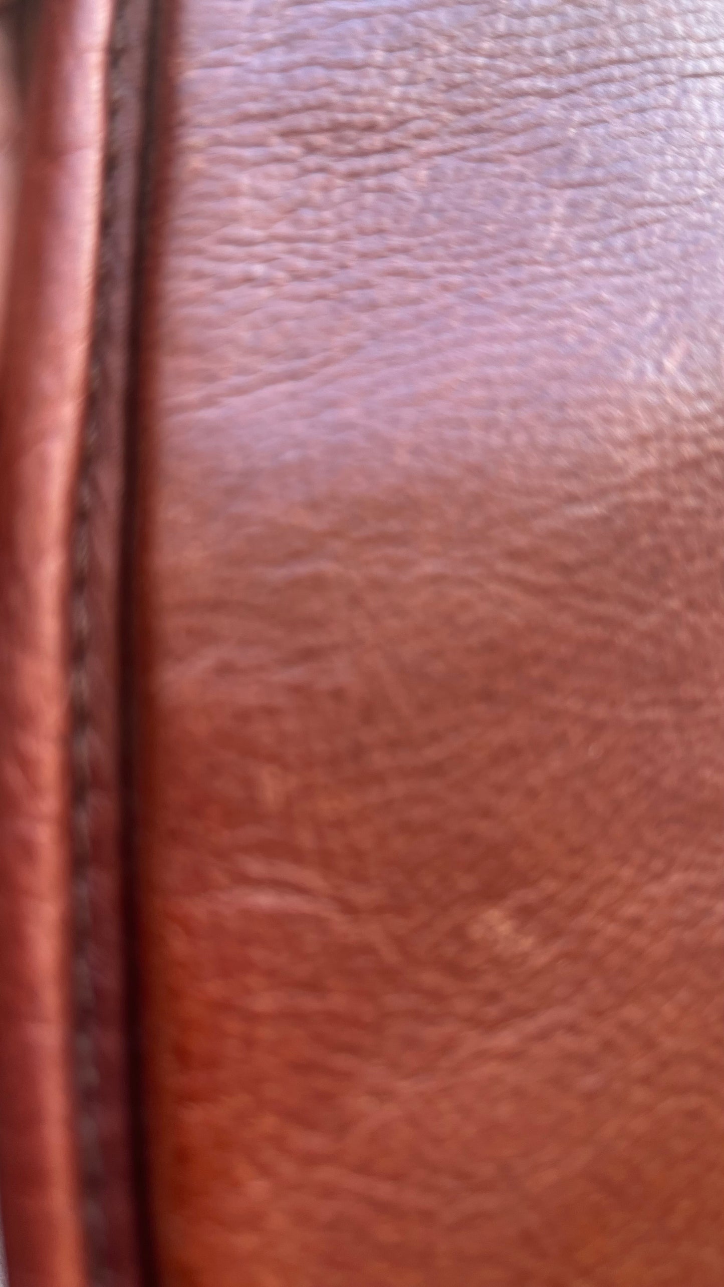 BacqSaver Premium Pro - Impact Absorption Half Pad