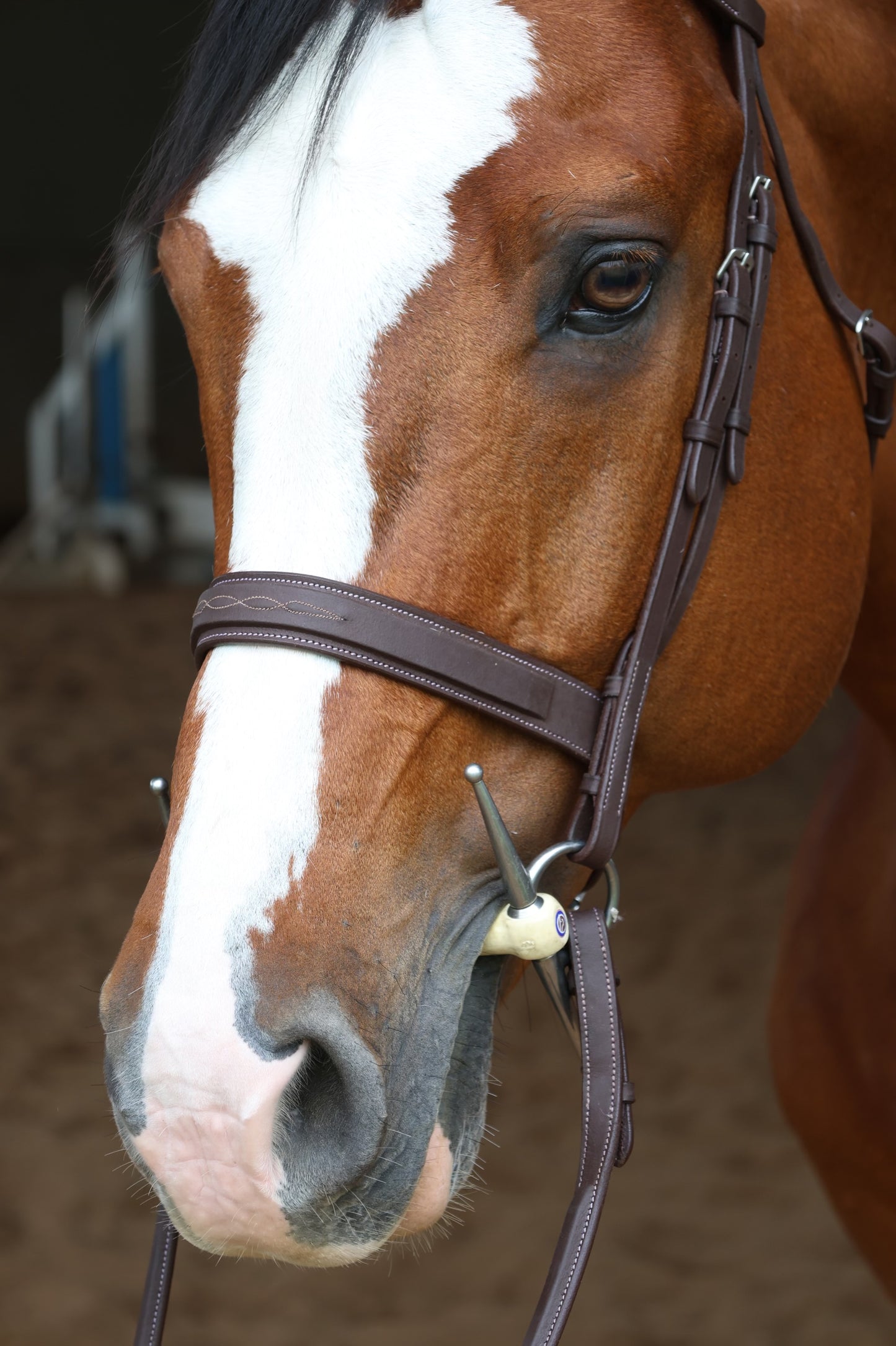 BH - Hunter Bridles