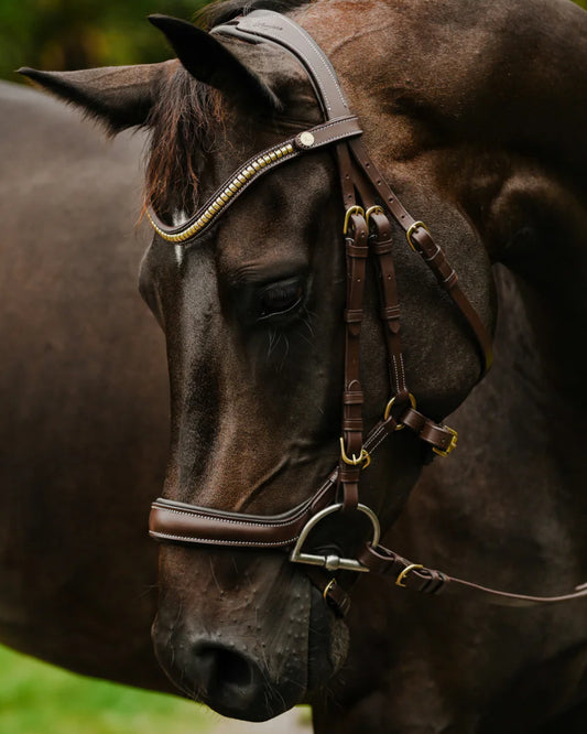 Lumiere Bridle -Dallas