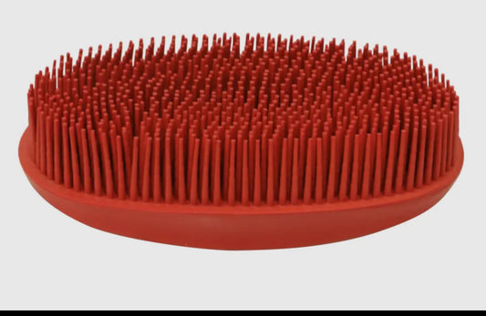 Grooming-Oval Face Brush