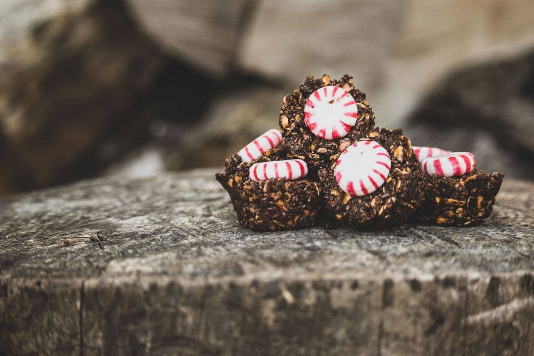 ClintRMint Horse Treats Original Flavor